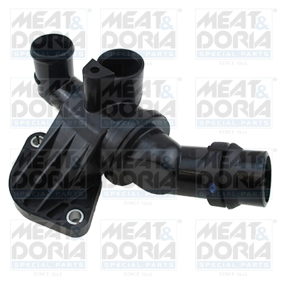 Thermostat, coolant